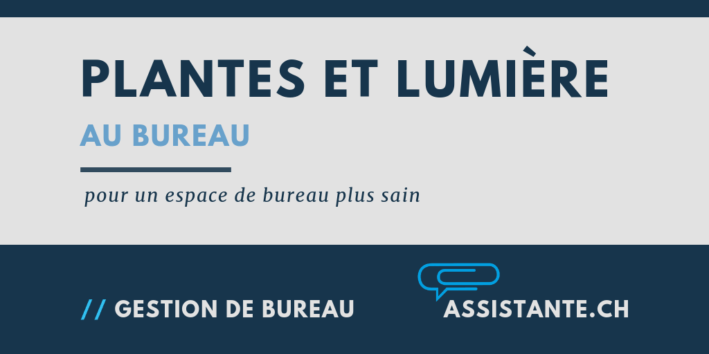 Des plantes et une lumière naturelle pour un espace de bureau plus sain